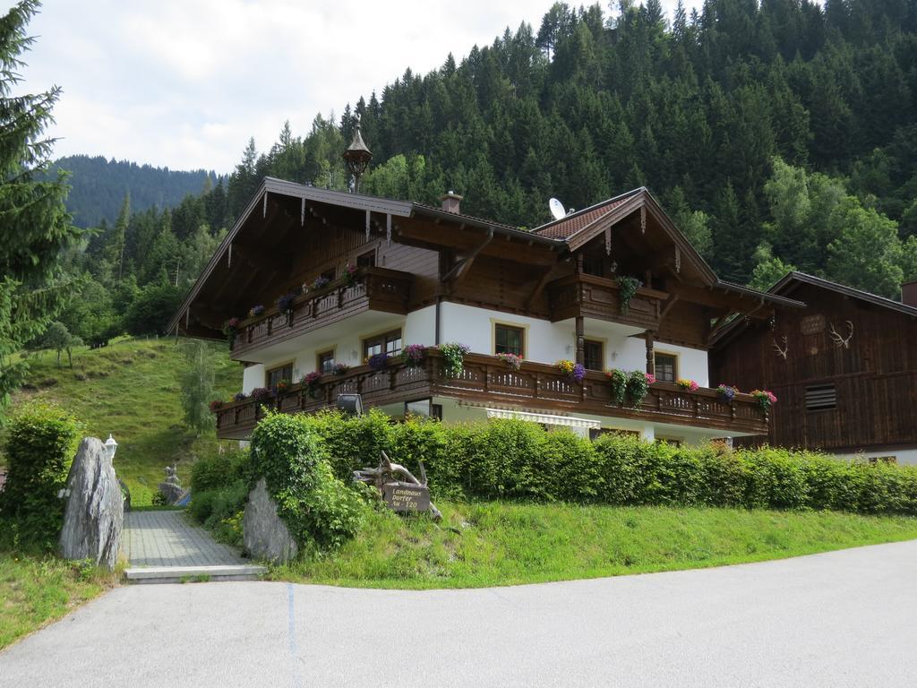Dorfer Apartment *